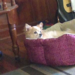 Meet your Posher, Judy